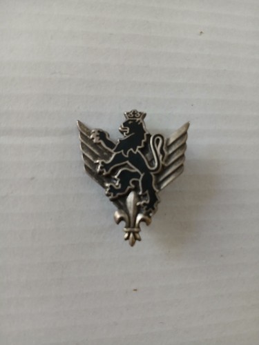 Insigne rhc - insigne,