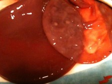 Mere de vinaigre de vin bio