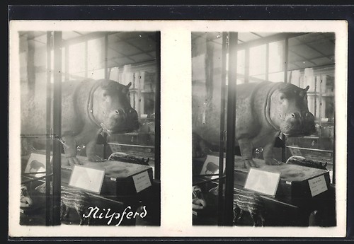 Carte postale stéréo