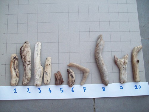 Lot morceaux de bois - lot,