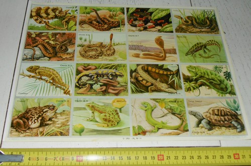 Rare planche 24 chromos - planche,