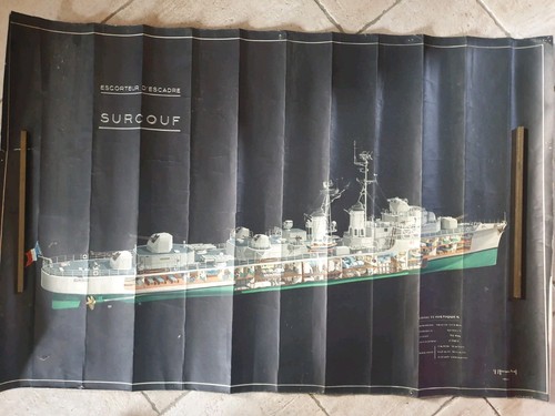 Gravure ancienne coupe - ancienne,