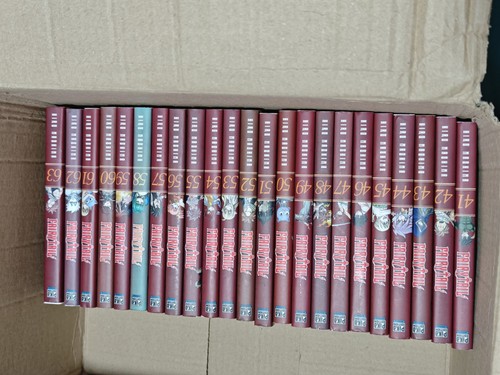 Fairy tail lot complet - lot, de