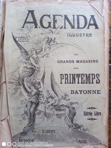 Agenda buvard 1900 - agenda-buvard, grands