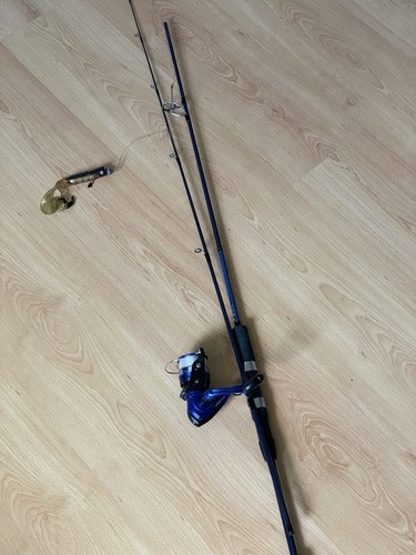 Canne daiwa dwave 702hfs - dwave,