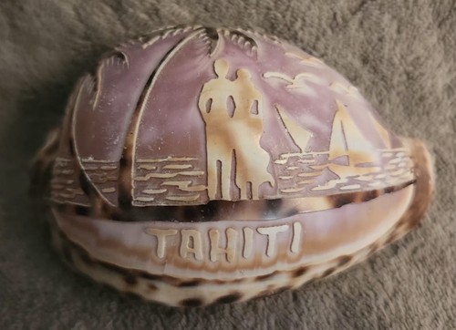 Coquillage décoré tahiti - coquillage,