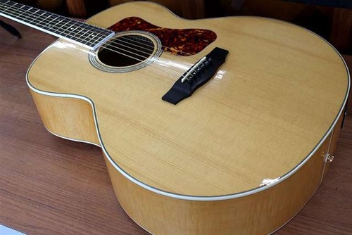 Guild 250e deluxe electric - guild,