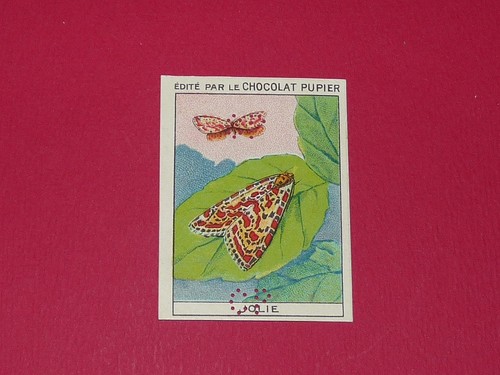 Chromo pupier 1930 album - 1930,