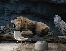 Coffre 3D Lion A070 Animal