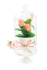 Cloche en Verre Plat Porcelaine Deco Globe Dôme de Déco Décoration Table 30cm