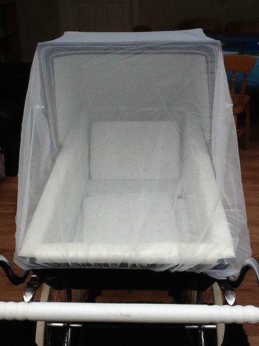 Insect net for silver - for,