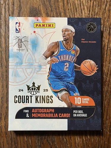 2024 panini court - 2024-25,