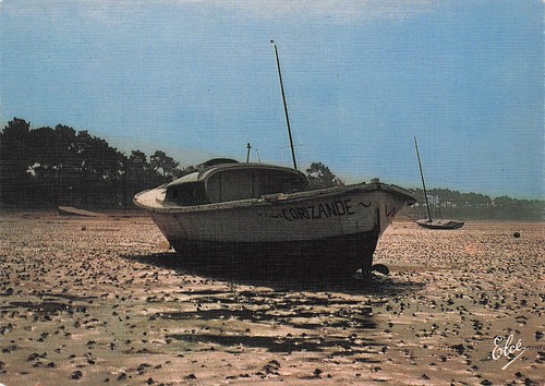 Bassin arcachon pinasse - bassin,
