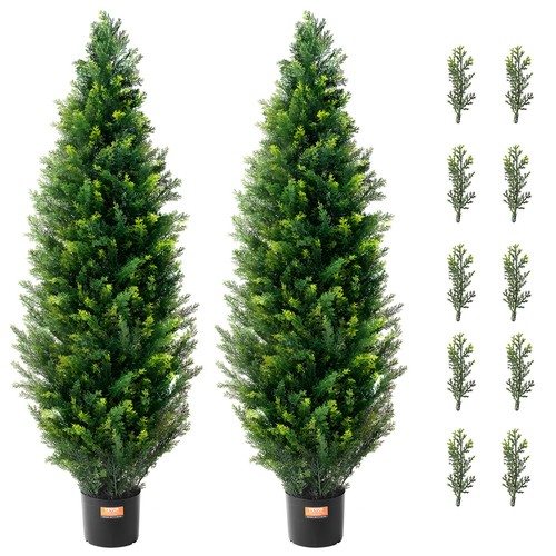 Uimoso lot plantes - 2,