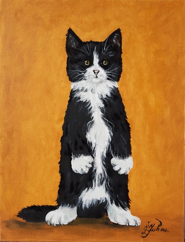 Peinture chat noir - et, blanc