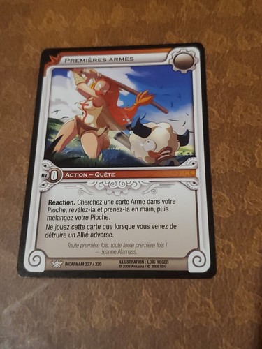 Carte wakfu première armes - carte,