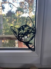 Art Mural Chat Curieux à La