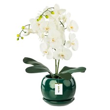 Pot de fleur bouteille verte avec soucoupe Rond 170 mm x 160 mm brillant        