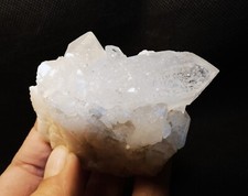 Beau Quartz Cactus Afrique du Sud - 7.5x5.5cm minéraux collection pierre reiki