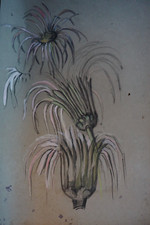 GRANDE GOUACHE ORIGINALE XX°