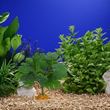  Décor De Bocal À Poissons