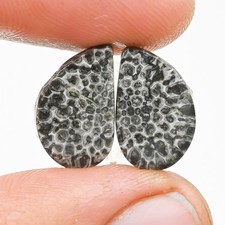 08.10Cts Corail Fossile