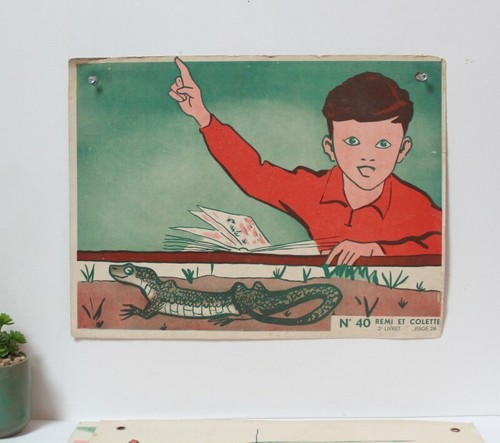 Affichette scolaire rémi - affichette,