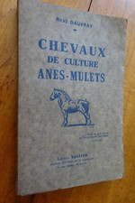 René DAUVRAY - Chevaux de