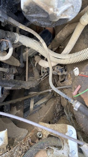 Cremaillere assistee citroen - cremaillere,