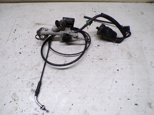 Papillon injection avec - ,