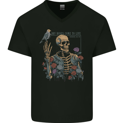 Dry bones squelette crâne - bones,