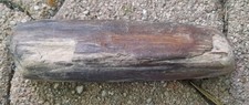 bois fossilisé
