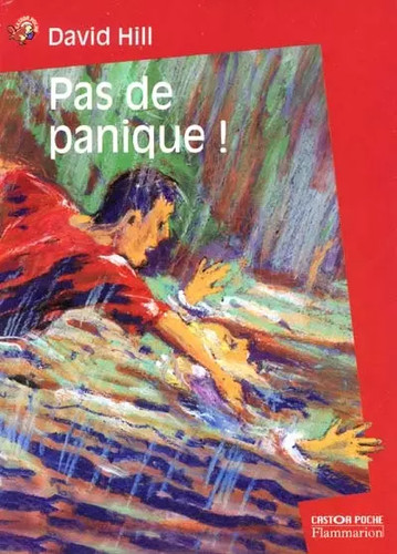 Pas panique david hill - de, !,