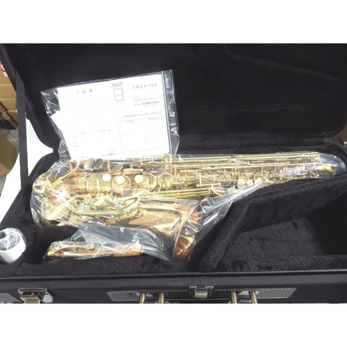 Saxophone alto yanagisawa - saxophone,