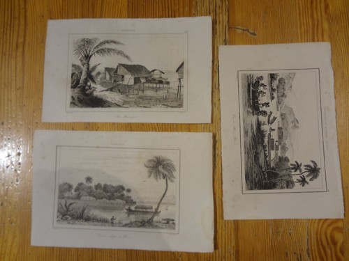 Gravure papouasie ile - gravure,