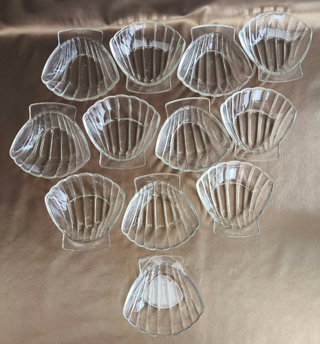 Coquilles saint jacques - coquilles, en