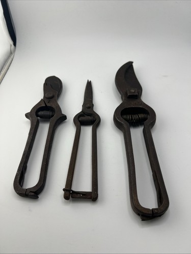 Anciens secateurs outil - secateurs, de