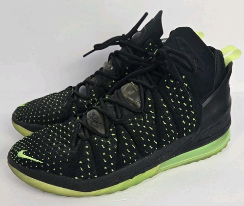 Nike lebron dunkman - 18, shoe