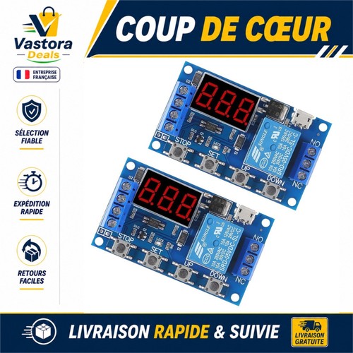 Module relais temporisé 5v - 2x,