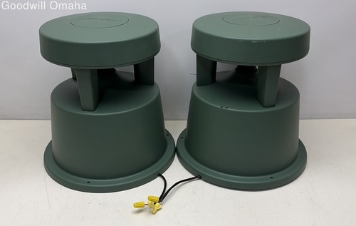 Pair bose free space - pair,