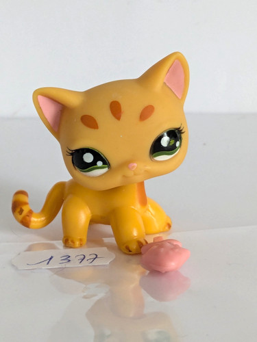 Authentique petshop chat - petshop,