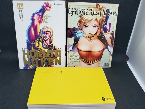 Livres manga en - livres,