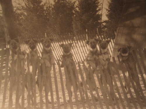 Photo vintage chanceux - photo,