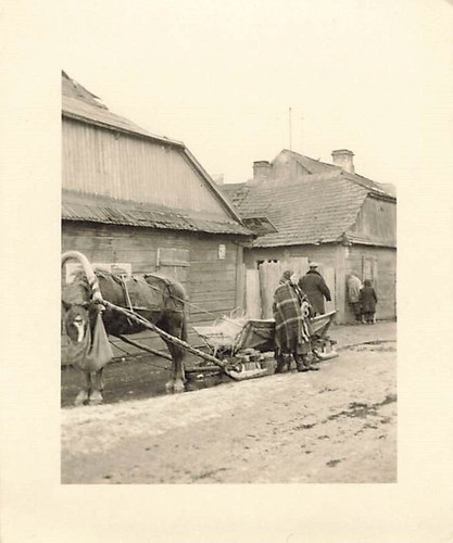Russe femme avec - femme, traîneau