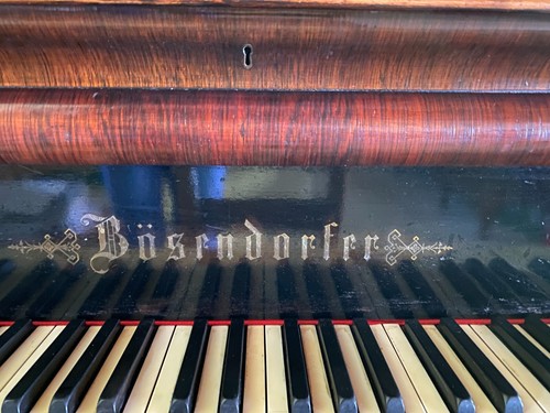Bosendorfer grand - 7‘10",
