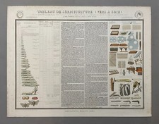 Tableau De Sériciculture, Planche Pédagogique Bouasse-Lebel, Affiche Scolaire