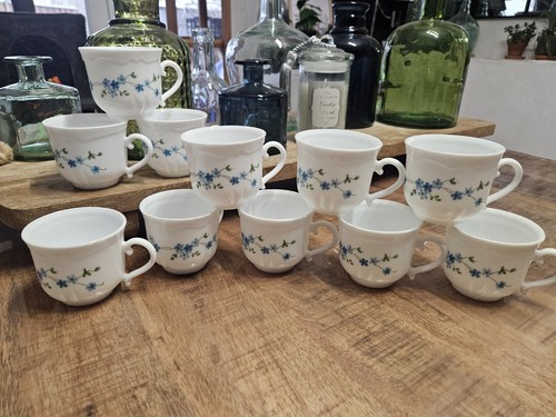Lot tasses myosotis - lot, arcopal