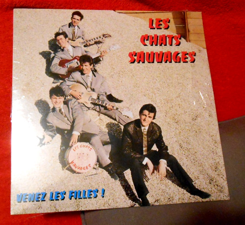 Les chats sauvages dick - les,