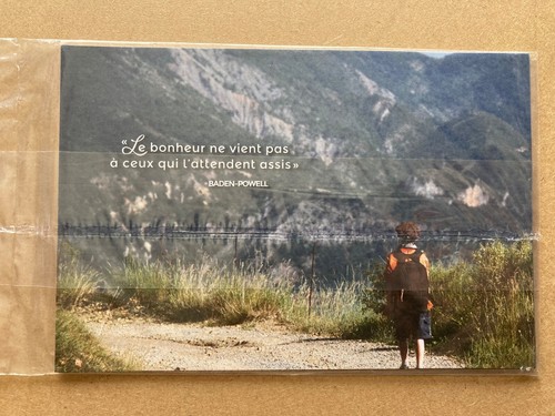 Cartes voeux scouts - de,