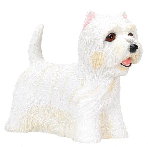West highland terrier - terrier, (westie)